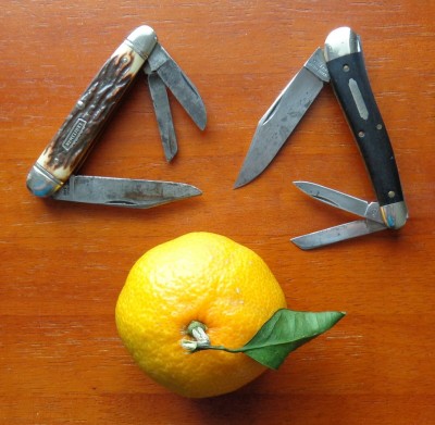EDC knives