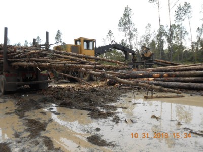 The logging deck is a muddy mess.