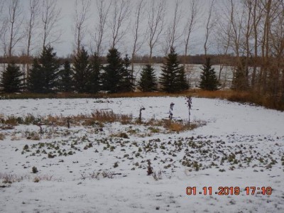 DSCN1936.JPG