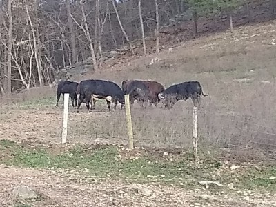 IMG_20191102_175936983.jpg
