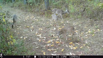 IMG_0077.JPG