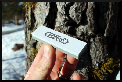 baryonyx-arctic-fox-pocket-stone-21.gif.jpg