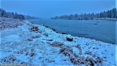 The river bank