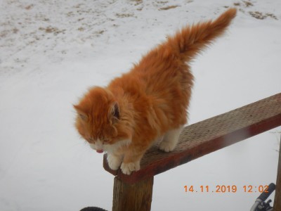DSCN2143.JPG