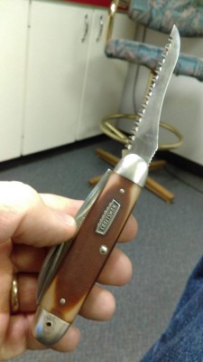 IMAG0947.jpg