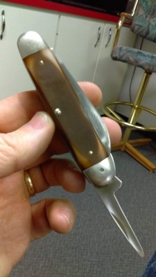 IMAG0948.jpg