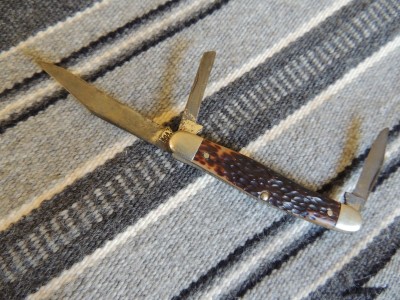 DSCN6095.JPG