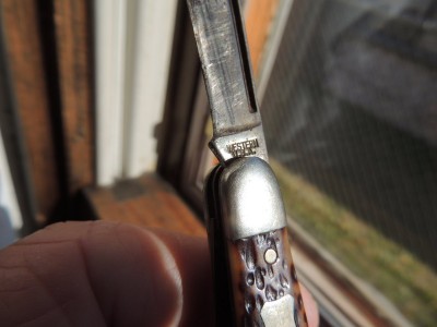 DSCN6097.JPG