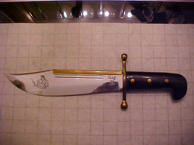 CaseBowie.JPG