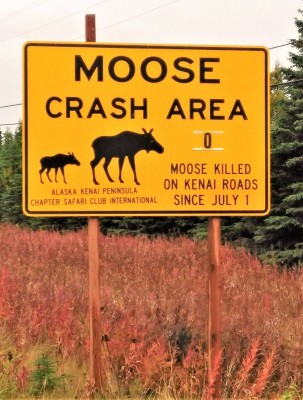 IMG_20190920_163856.jpg
