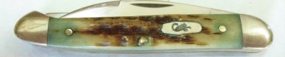 Case 62109W with Cheetah Scrimshaw_0001.jpg
