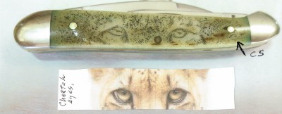 Case 62109W with Cheetah Scrimshaw 4 of 4_0001.jpg