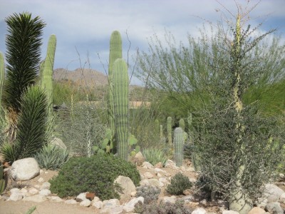 IMG_6306.JPG