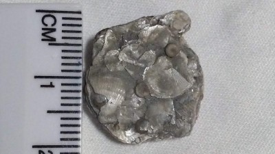 20191110_153856.jpg