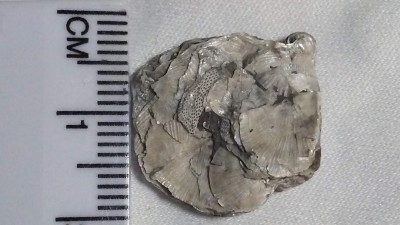 20191110_153956.jpg