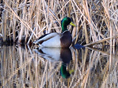 DSCN0704.JPG