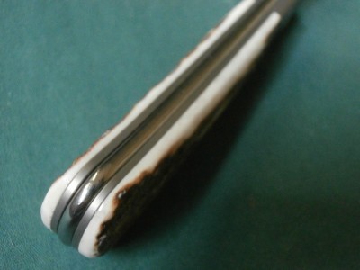 PB270011.JPG