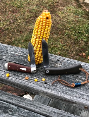 Howdy y’all !! First time posting. <br />These two GEC’s helped me outside today.