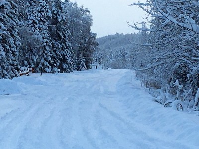 IMG_4809.jpg