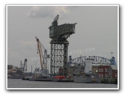 Hammerhead Crane-NNSY.jpg