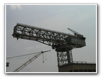 Hammerhead Crane-NNSY2.jpg