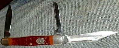 image.jpeg