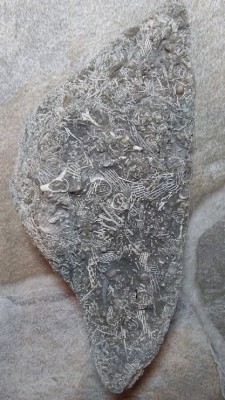 20191029_042842.jpg