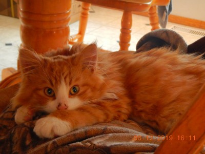 DSCN2397.JPG