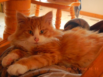 DSCN2398.JPG
