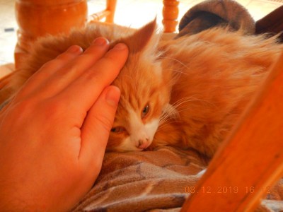 DSCN2406.JPG