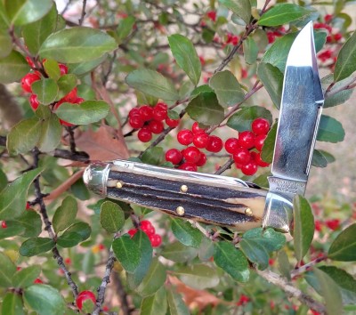 GEC 29