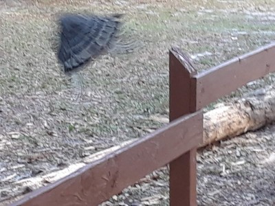 20191203_164058.jpg