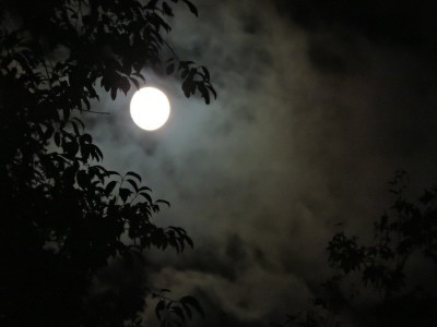 DSCN3173.JPG