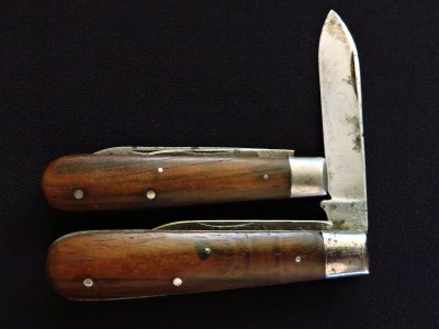 DSCN8730.JPG