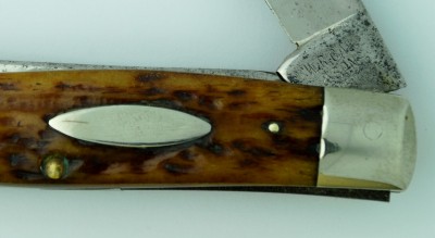 WR Case and Sons Moose smooth oval