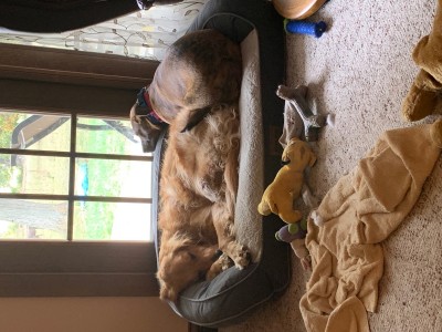 IMG_1431.jpeg