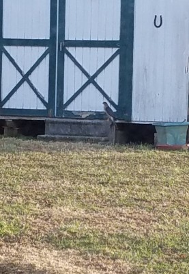 20191225_080912.jpg