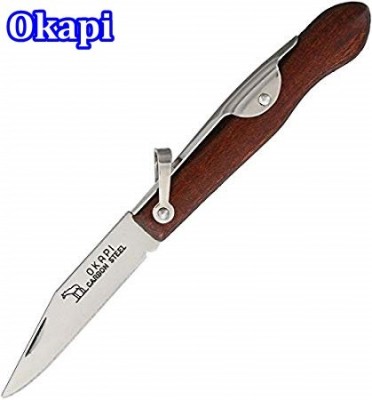 41qCG2lPoRL__AC_SY450_.jpg