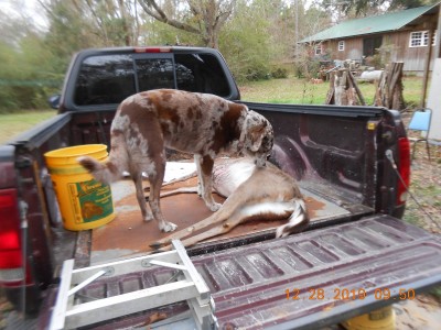 Miss Joy's dog claiming her prize.