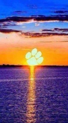 CU SUNSET.jpeg