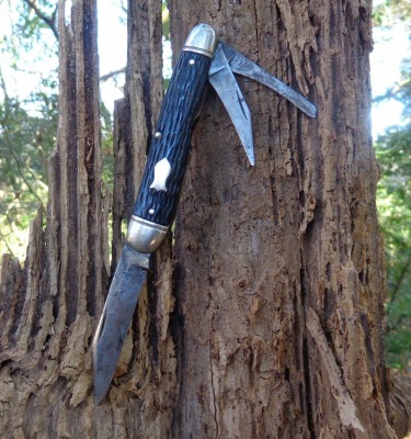 Old Schrade on old pine