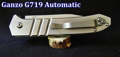 Ganzo G719 Automatic - Pile Labeled.JPG