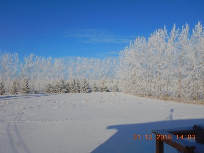 DSCN2475.JPG