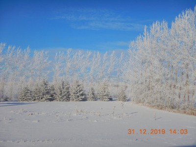 DSCN2476.JPG