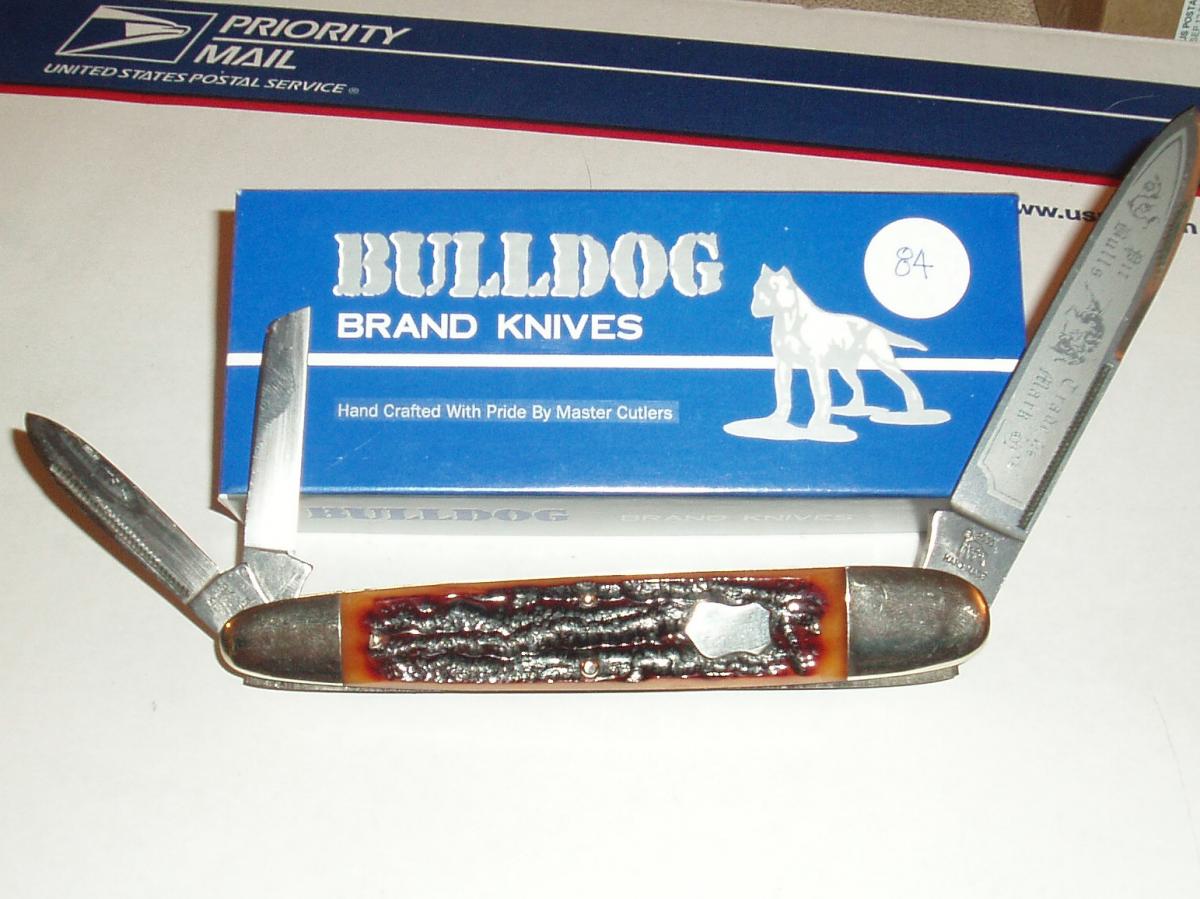 Bulldog anglo red stag proto