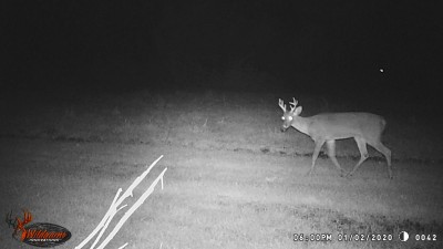 1st time to show up on camera