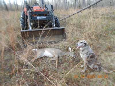 Flossie and her buck.