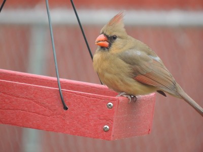 DSCN6172.JPG