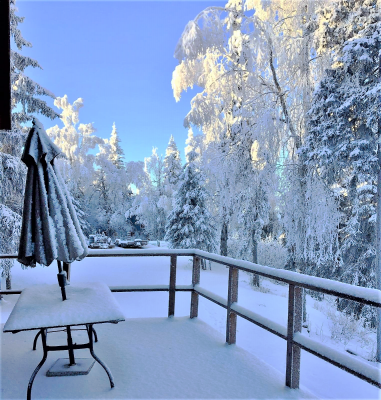 Getting harder to get off the back patio