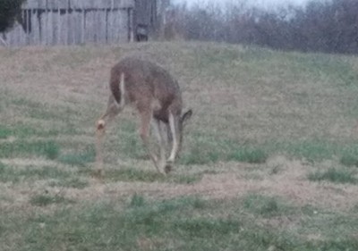 20200118_104134.jpg